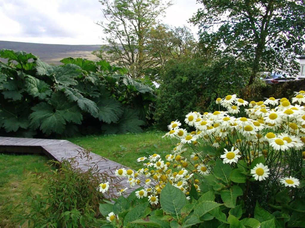 The Overscaig House Hotel Buitenkant foto